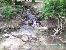 Vadalmás-forrás borítóképe