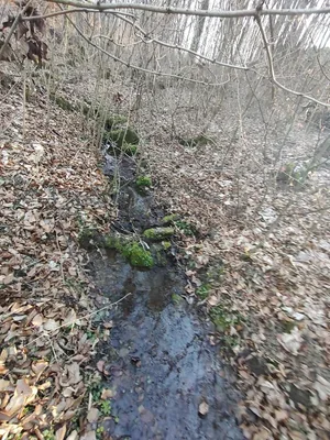 Képek 2025 Útirány.hu