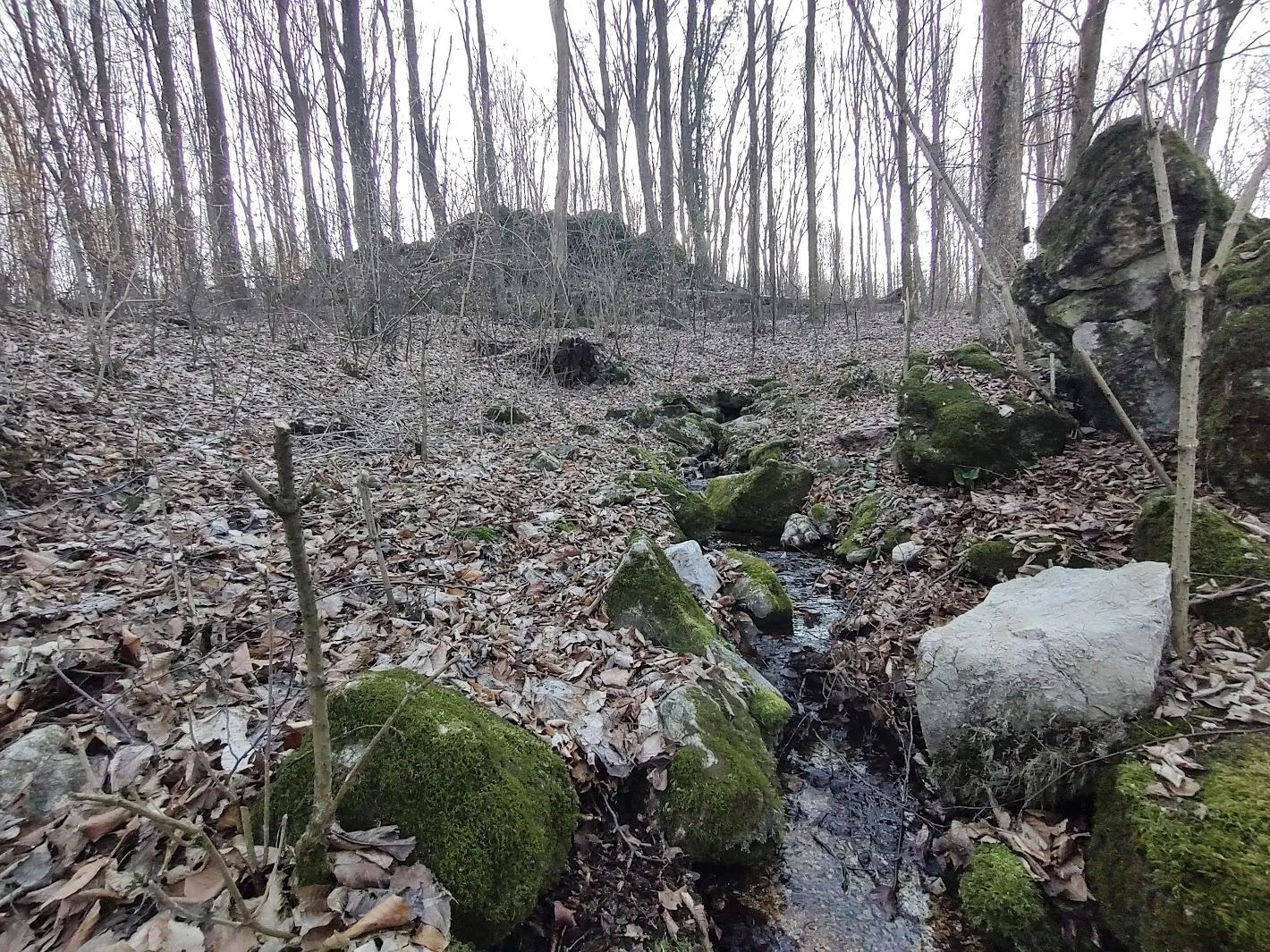 Képek 2025 Útirány.hu