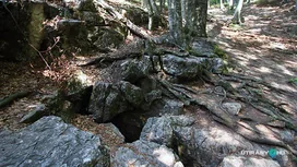 Kőris-hegyi Ördög-lik borítóképe