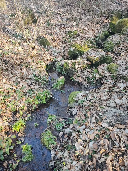 'Judit-forrás' cikk borítóképe