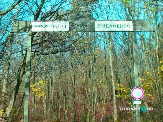 'Ámos-hegyi Pihenőerdő – Tanösvény' cikk borítóképe