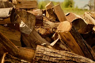 Szociális tűzifa borítóképe