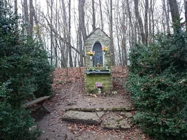 Szűz Mária-kegyhely borítóképe