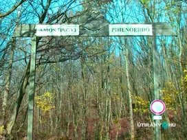 Ámos-hegyi Pihenőerdő – Tanösvény borítóképe