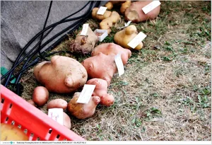 Fotók, Útirány.hu