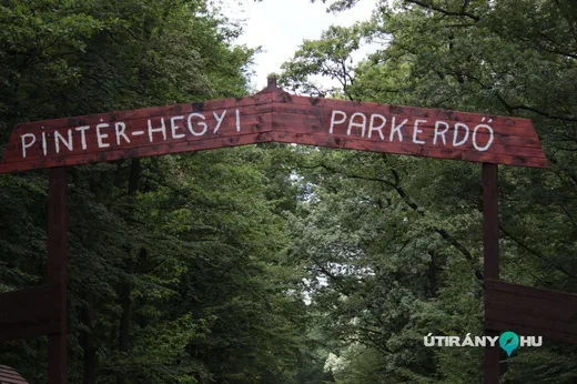 'Pintér-hegyi Parkerdő' cikk borítóképe